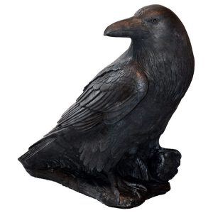 Large Raven Bk