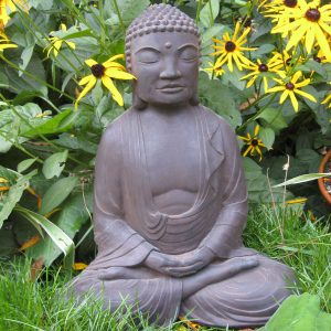 Meditating Buddha Dw