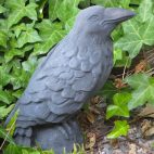 Raven – Nichols Bros Stoneworks