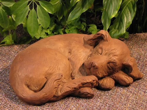Sleeping Curled Puppy Dw