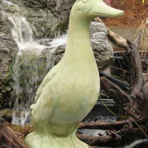 Standing Duck Wb