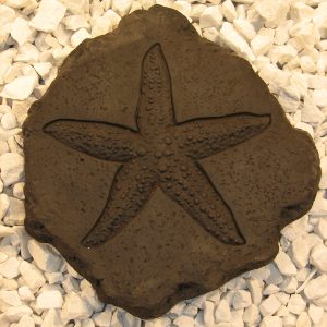 Starfish Stepstone Dw