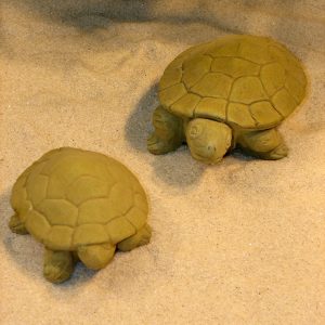 Turtle Pair Wb