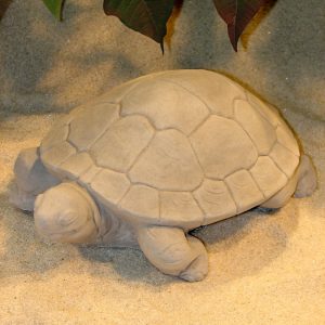 Water Turtle Ag